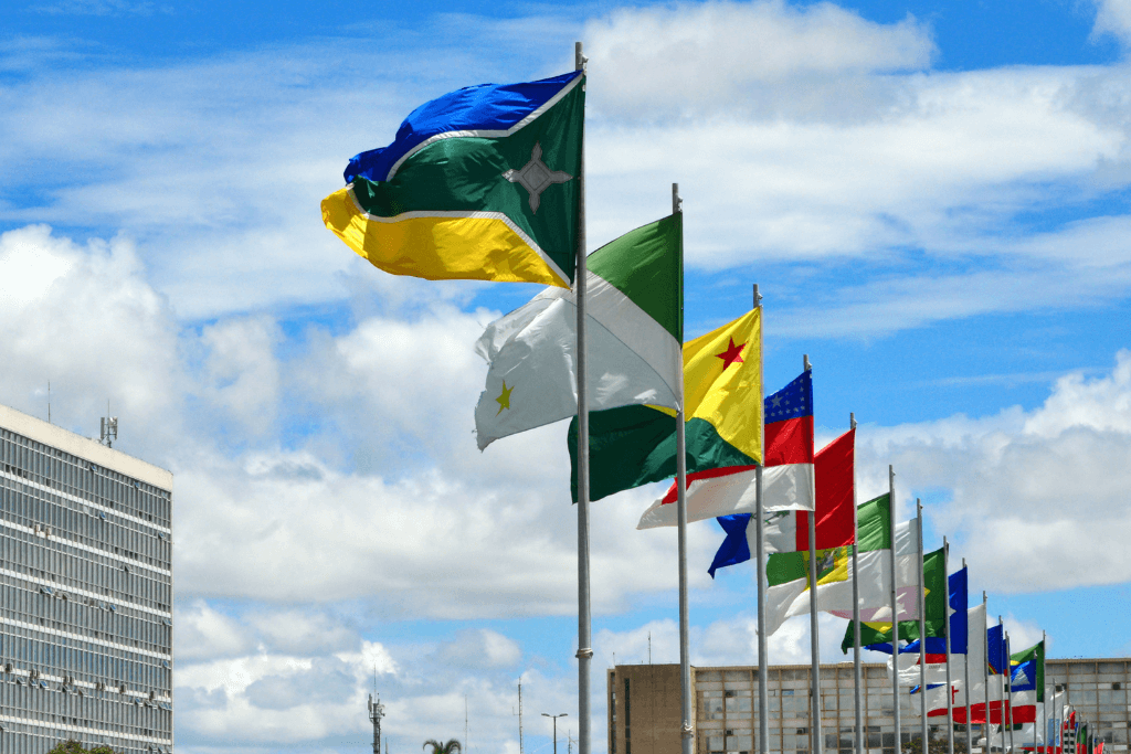 Conjunto de bandeiras enfileiradas, cada uma de um país integrante do Mercosul.
