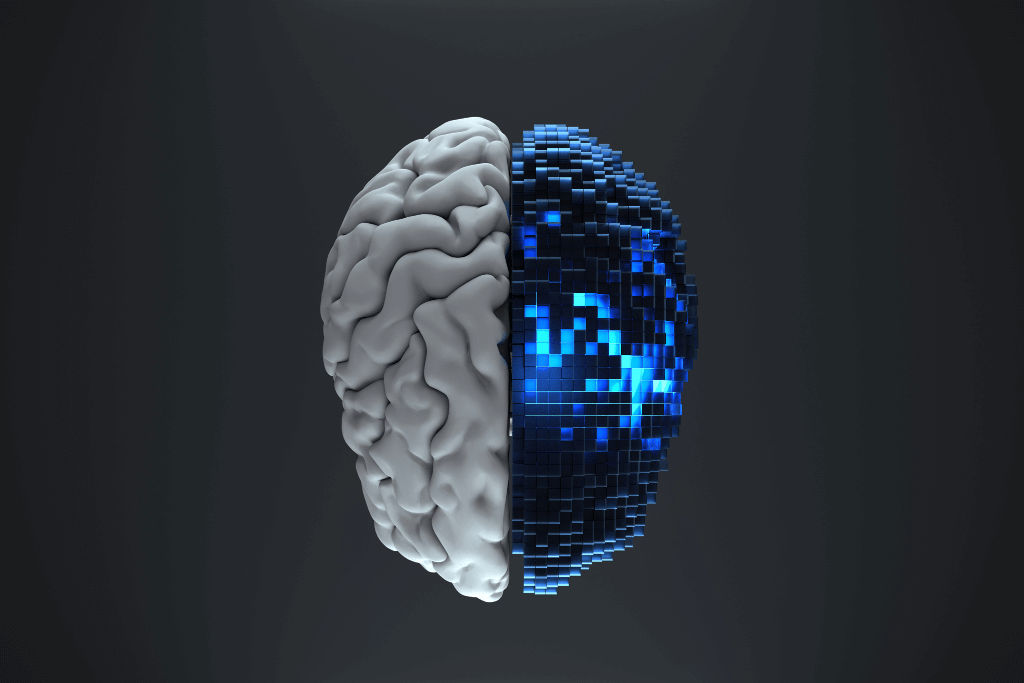Cérebro dividido entre humano e máquina.