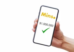 Cómo solicitar el préstamo Mins