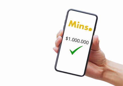 Cómo solicitar el préstamo Mins