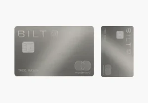 The Bilt Palladium: An Expert Guide to Requirements and Application.